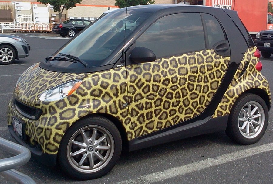 Маленький леопардовый автомобиль для девочки