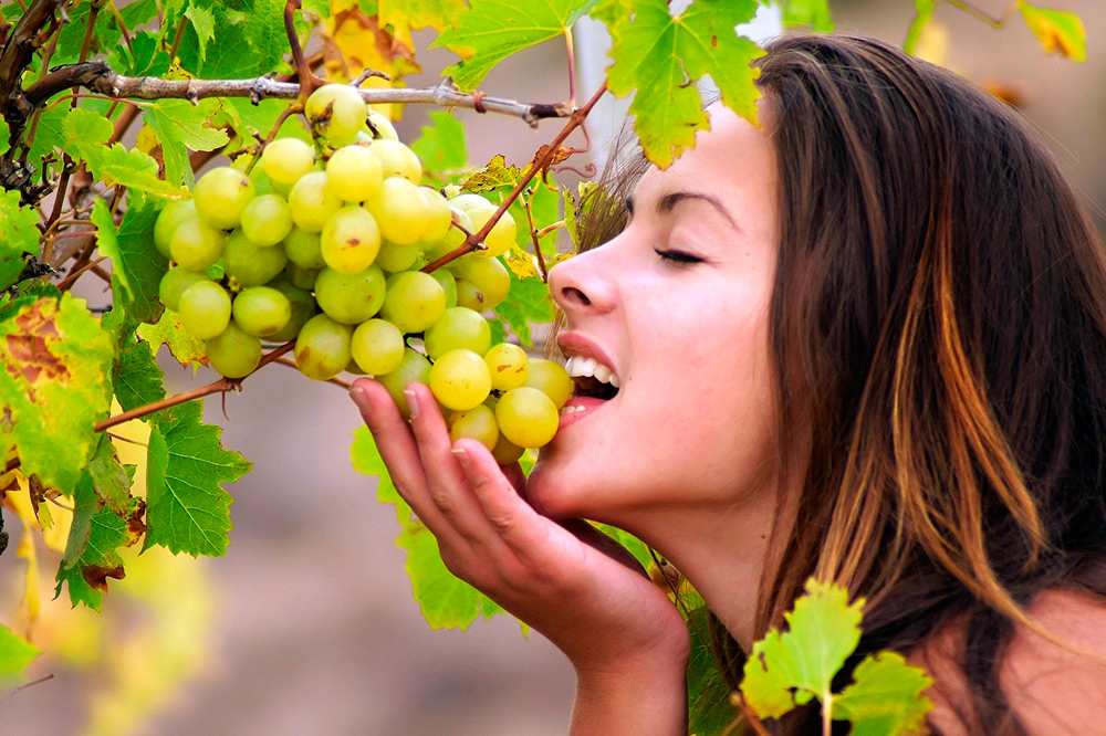 Виноград – полезные свойства