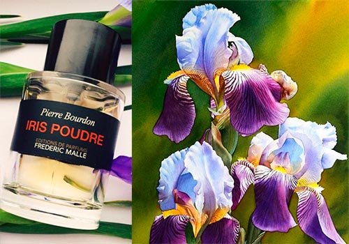 6 лучших парфюмов с ароматом ириса